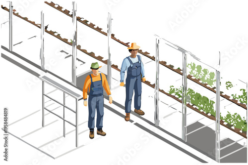 Isometric illustration of two farmers in a vertical indoor farm setup