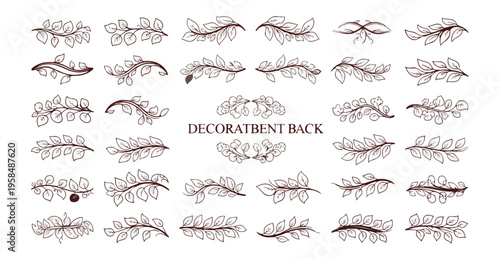 Decorative leaf collection graphic elements black background