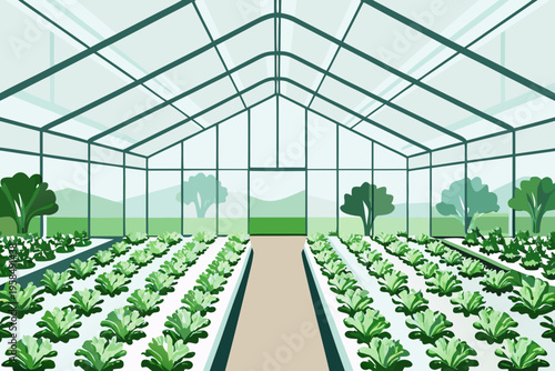 A serene greenhouse interior filled with rows of leafy green plants