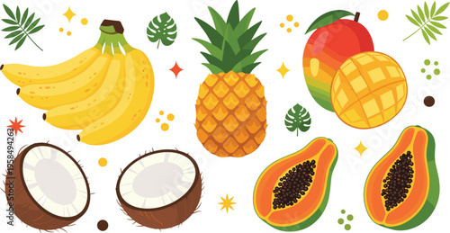 Tropical fruits vector illustration set with banana, pineapple, mango, papaya and coconut, fresh summer exotic food collection, colorful healthy nutrition design