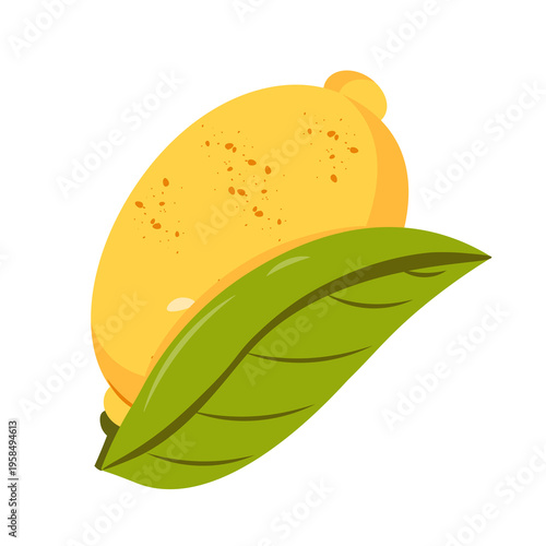 Juicy fresh lemon fruit, whole and ripe, displayed on a clean transparent background, ideal for recipe visuals, nutrition graphics, and kitchen design elements