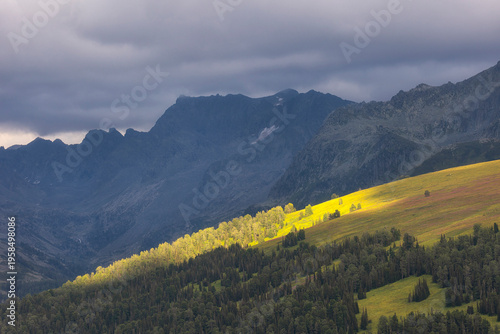 Wallpaper Mural Beautiful summer mountain landscape. Altai, Russia Torontodigital.ca