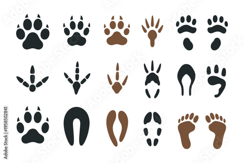 Vector set of animal tracks featuring paw prints of dog, cat, bear and wolf, along with deer, bird and reptile footprints, wildlife trail silhouettes and forest animal steps, clean vector illustration