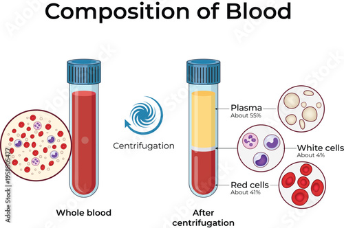 Blood Composition Diagram Showing Centrifugation