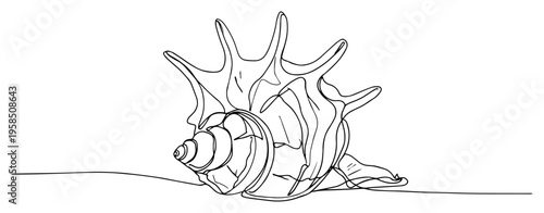 Seashell conch on beach continuous line drawing, ocean summer holiday souvenir one line art minimalist vector illustration