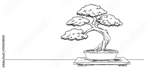 Traditional Japanese bonsai tree in pot continuous line drawing, zen garden and miniature plant one line art, minimalist botanical home decor vector illustration
