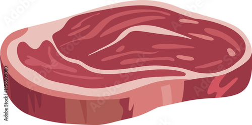 Raw Steak Cuts Illustration Set | Butcher Meat Collection