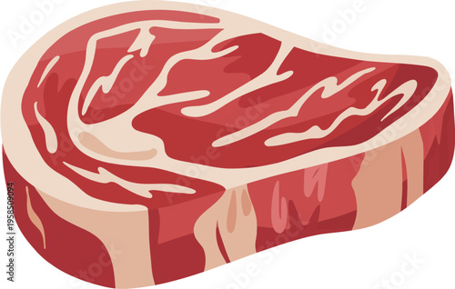 Raw Steak Cuts Illustration Set | Butcher Meat Collection