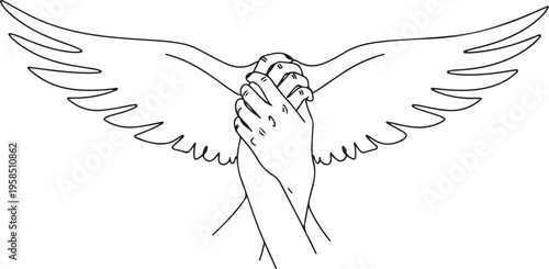 Hand drawn illustration of a bird in flight with outstretched wings