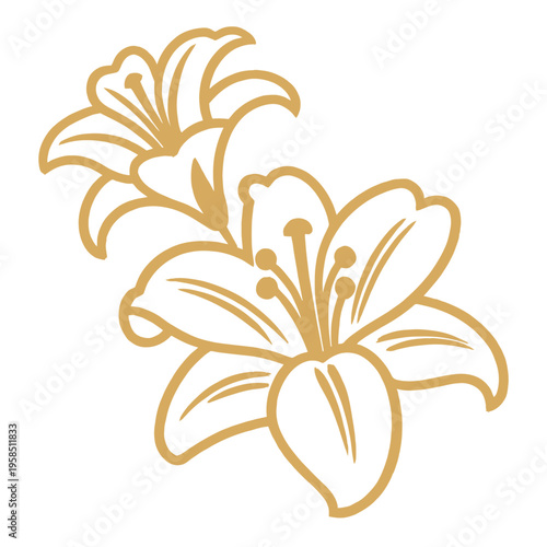 Golden lily illustration featuring three blooms and delicate flowing lines