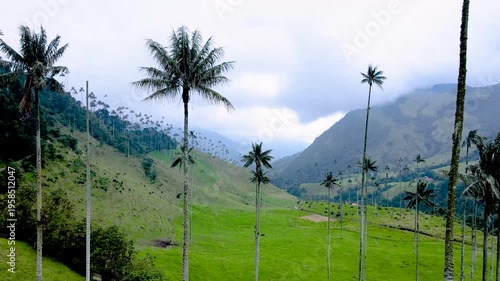 Aerial shot of Valle de Cocora showing towering wax palms and bright green pastures against misty mountain slopes under an overcast sky.