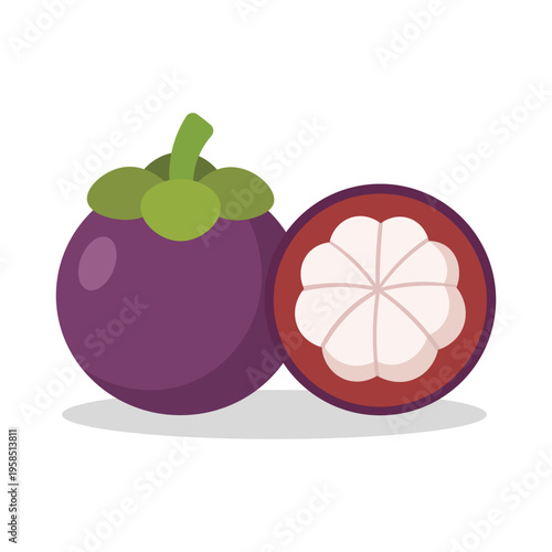 Flat vector illustration of whole purple mangosteen and slice isolated on white