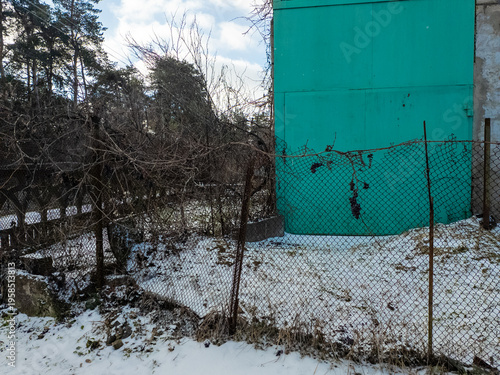 A small black curly dog stands on a snowy rural village road, lined with pine trees, metal fences,
