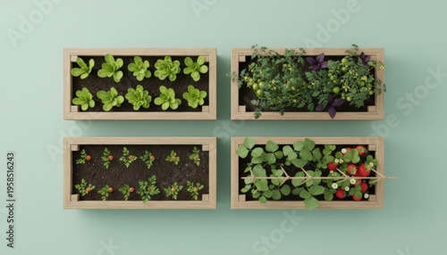 Seedlings In Four Containers, Neatly Organized Seedlings In Four Planters On Balcony, Top View Showcasing Four Orderly Planter Boxes With Earlystage Seedlings In Bright Indoor Setting