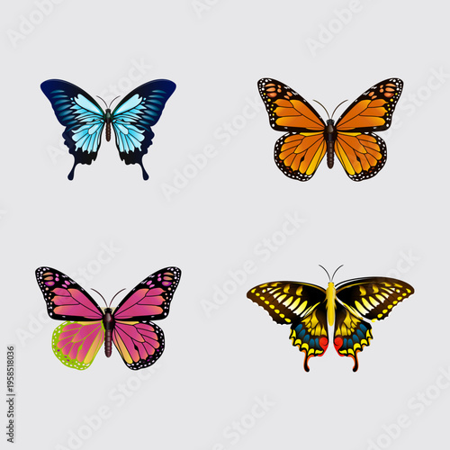 Set of Colorful Butterflies