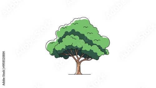 Lush green deciduous tree illustration with a thick leafy canopy and brown trunk isolated on a plain white background for nature design.