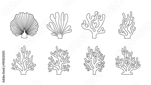 Detailed line art icons of various underwater coral formations and a seashell on a white background for marine biology and ocean themes.