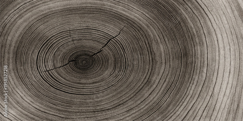 Old wooden texture background reveals a macro pattern of natural brown rings and concentric circles on the surface of a cut timber log trunk