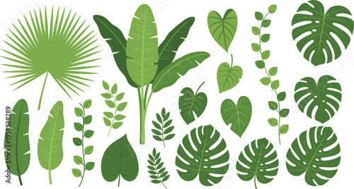 Tropical jungle birds collection with exotic parrot macaw toucan and pink flamingo with colorful rainforest leaves and flowers isolated on white background vector illustration