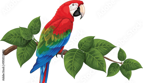 Tropical jungle primate collection with realistic gorilla chimpanzee orangutan and exotic monkey species among rainforest leaves and flowers isolated on white background vector illustration