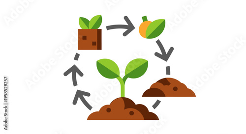 The Life Cycle of a Plant From Seed to Sprout, Growth, Maturation, and Reproduction in a Simple, Flat, Infographic Style with Arrows