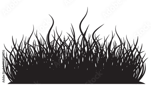 Silhouette of dense grass against a plain white background for natural minimalist design. No additional elements present.