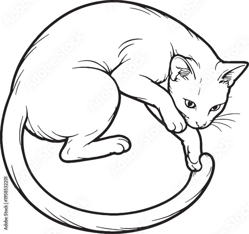 Havana Brown cat chasing tail line art black and white playful feline circle pose vector illustration
