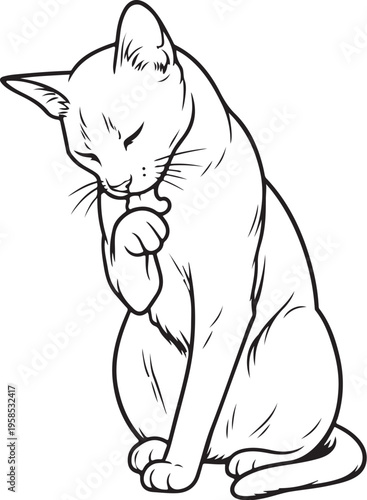 Havana Brown cat grooming paw line art black and white feline cleaning behavior vector illustration