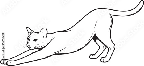 Havana Brown cat stretching forward line art black and white feline stretch pose side view vector illustration