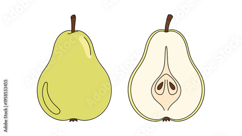 Botanical illustration of a whole green pear alongside a sliced pear showing the internal core and seeds on a white background.