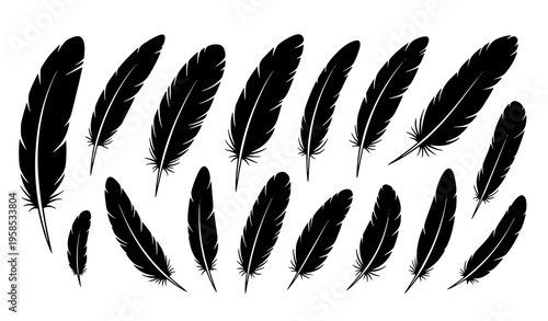 Bird Feather Vector Set Black Silhouette Icons Isolated on White Background