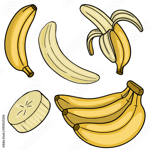 Vibrant vector illustration of ripe bananas, peeled banana, and a banana slice