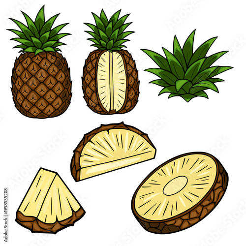 Tropical Fruit vector illustration - whole pineapple, sliced pineapple, and leaves