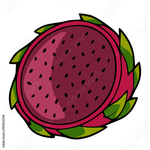 Vibrant vector illustration of a ripe dragon fruit, sliced open to reveal its seeds.