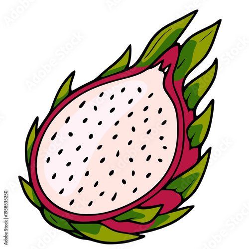 Vector illustration of a half dragon fruit with pink flesh and black seeds, surrounded by green and pink leaves.