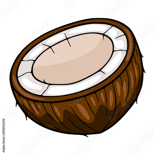 Vector illustration of a halved ripe coconut with white flesh and brown fibrous shell