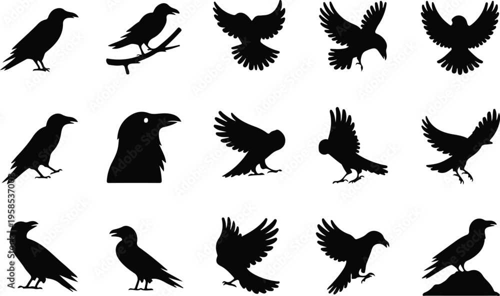 Fototapeta premium Raven Silhouette Icon Collection Set