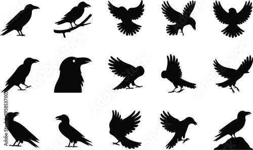 Raven Silhouette Icon Collection Set