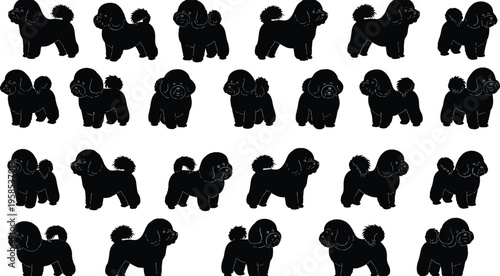 Large Collection of Bichon Frise Dog Silhouettes Featuring Various Standing and Walking Poses of Fluffy Small Breed Poodle Mix Dogs