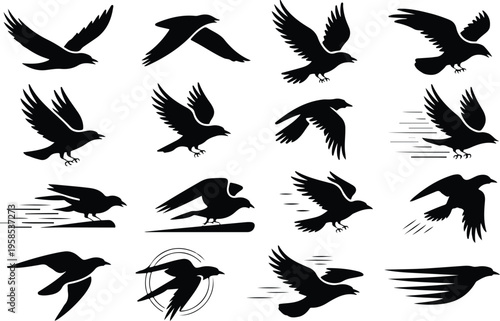 Raven Silhouette Icon Collection Set