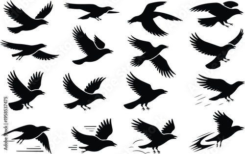 Raven Silhouette Icon Collection Set