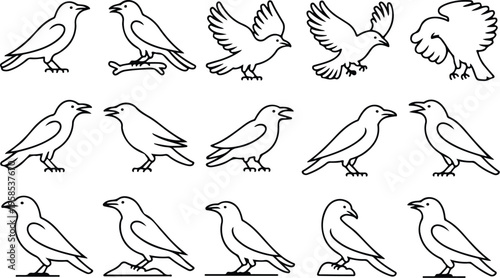Raven Silhouette Icon Collection Set