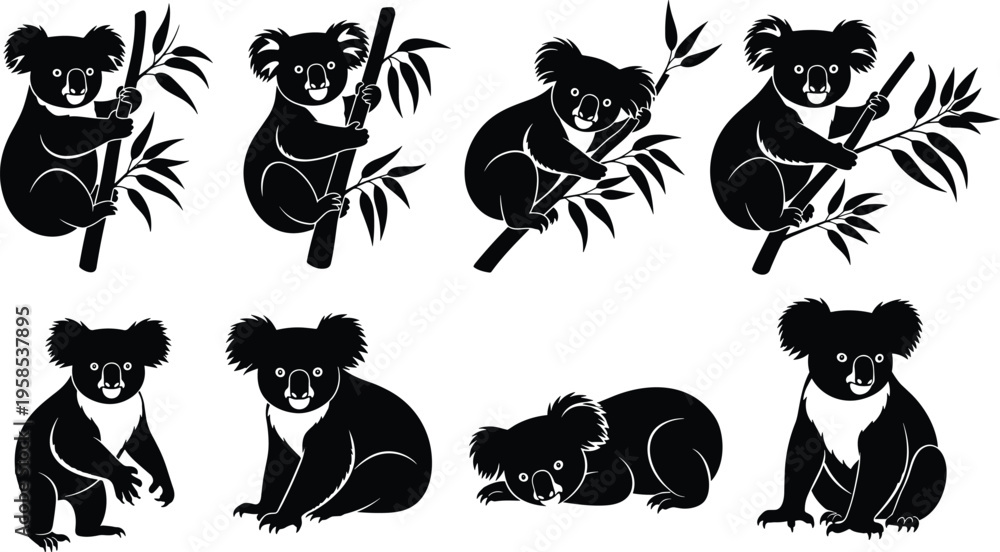 Obraz premium Vector set of black koala silhouettes in various poses including climbing eucalyptus branches, sitting, and lying down on white background.