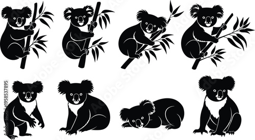 Vector set of black koala silhouettes in various poses including climbing eucalyptus branches, sitting, and lying down on white background.