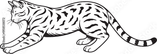 Bengal Cat Kneading Paws Black and White Line Art Vector Illustration