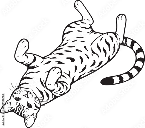 Bengal Cat Lying Belly Up Playful Black and White Line Art Vector Illustration