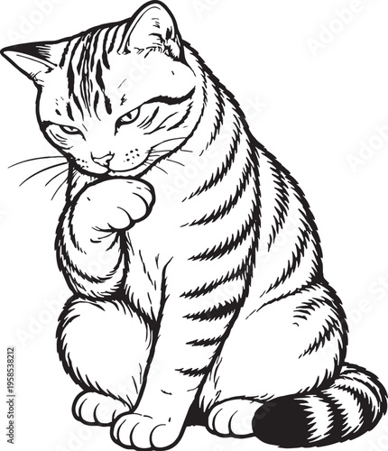 American Shorthair Cat Grooming Paw Lick Black and White Line Art Illustration