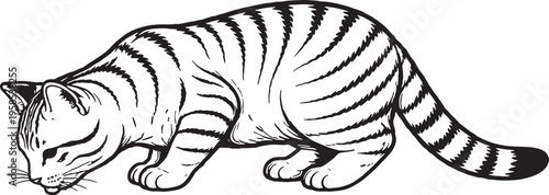 American Shorthair Cat Drinking Side View Black and White Line Art Illustration