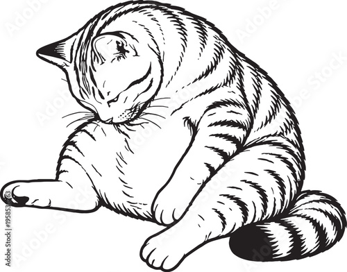American Shorthair Cat Grooming Belly Sitting Black and White Line Art Illustration