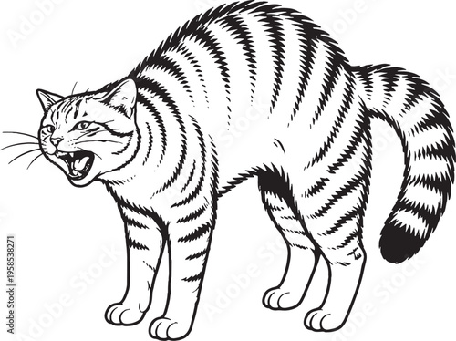 American Shorthair Cat Arching Back Hissing Defensive Posture Black and White Line Art
